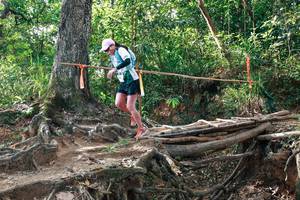 BIB: 
                            <button type="button" onclick="openModal(27555669)" class="btn btn-primary btn-sm float-right btn-popup" data-toggle="modal" data-target=".modal-high-quality">
                        <i class="fas fa-shopping-cart"></i> Add to Cart
                    </button>
                                            <button type="button" onclick="isThisMe(27555669, true)" class="btn btn-success btn-sm float-right btn-popup btn-isme hidden" data-toggle="tooltip" data-placement="bottom" title="นี่คือรูปของคุณใช่ไหม คลิกที่นี่เพื่อเอาเข้าอัลบั้ม">
                        <i class="fas fa-plus"></i> Add to album
                    </button>
                    <button type="button" onclick="isThisMe(27555669, false)" class="btn btn-warning btn-sm float-right btn-popup btn-isnotme hidden">
                        <i class="fas fa-ban"></i> Remove from album
                    </button>